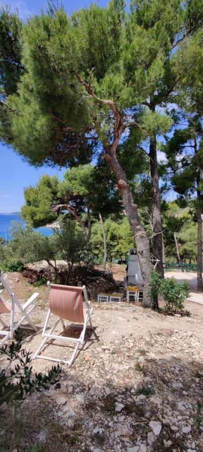 Villa Paula Murter Dış mekan fotoğraf